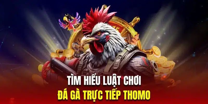 Luật chơi chi tiết của đá gà Thomo C2