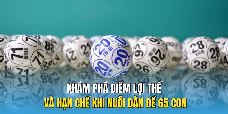 Khám phá điểm lợi thế và hạn chế khi nuôi dàn đề 65 con